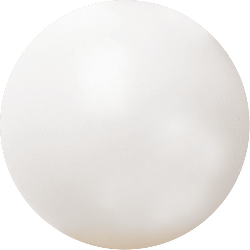 White Bodhi
